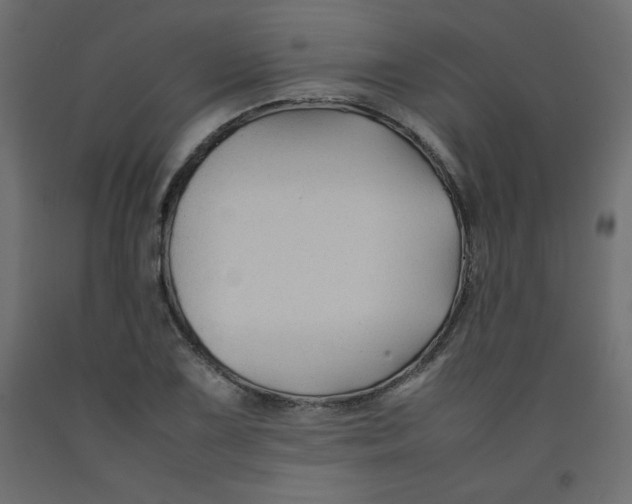X0000092281075200710121359