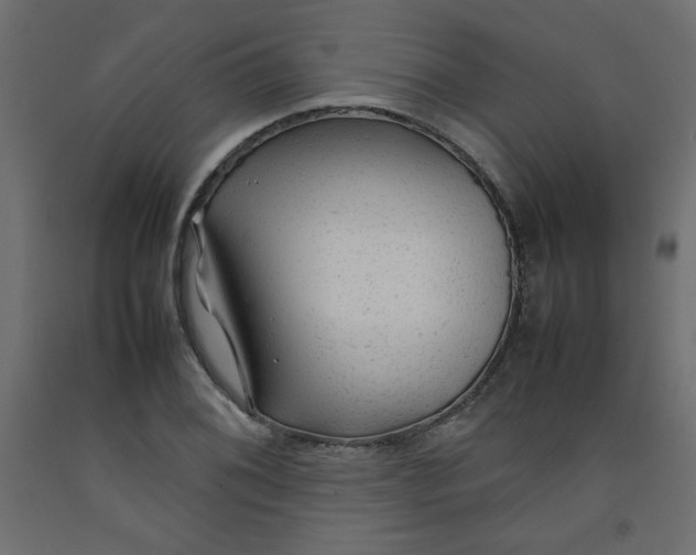X0000092281076200710121359