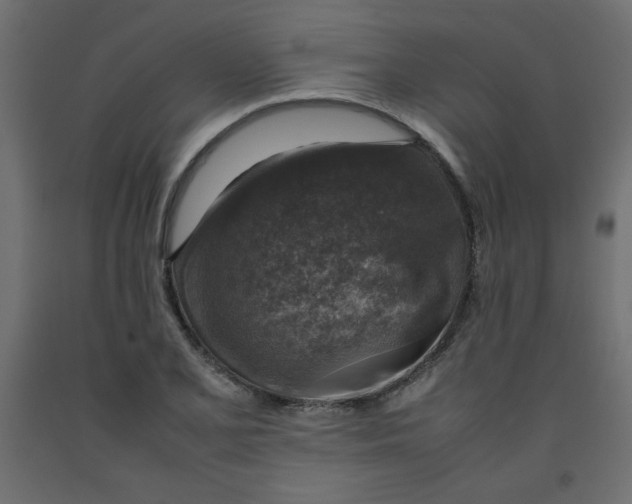X0000092281077200710121359