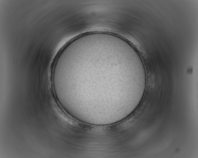 X0000092281078200710121359