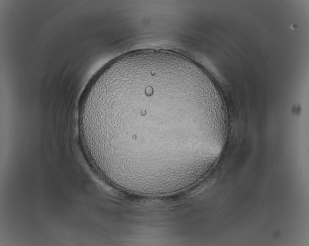 X0000092281079200710121359