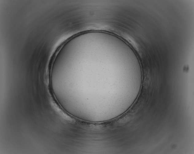 X0000092281080200710121359