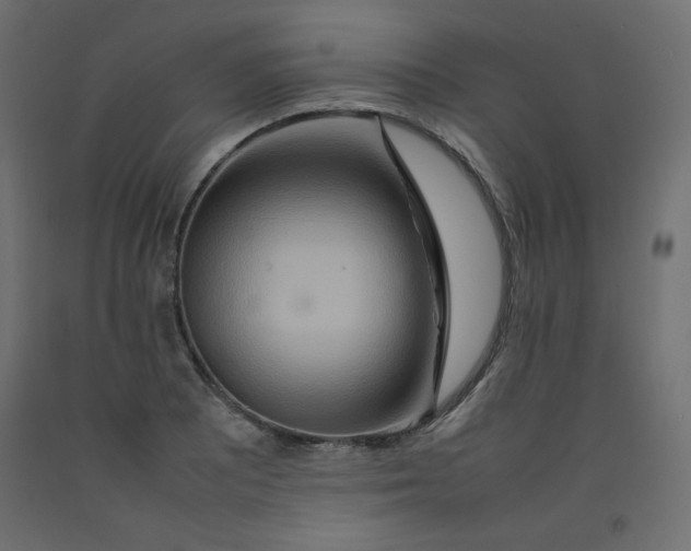 X0000092281081200710121359