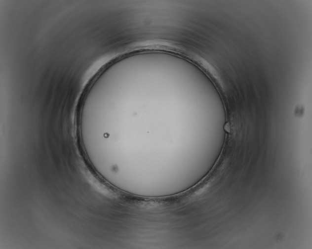 X0000092281082200710121359