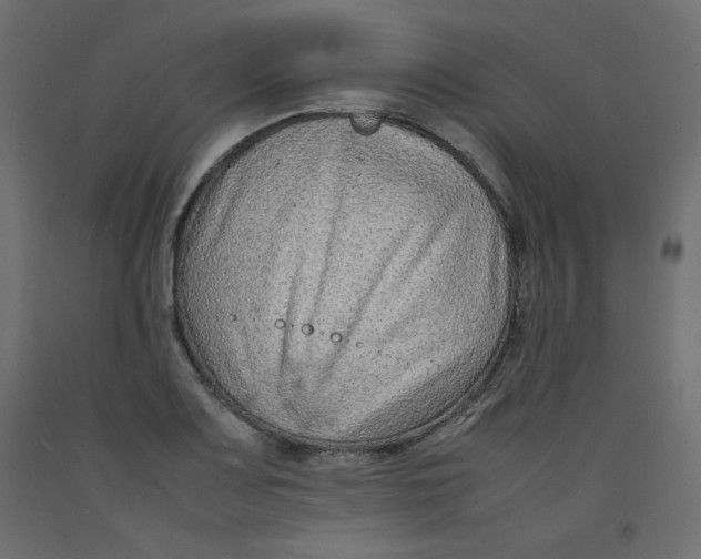 X0000092281083200710121359