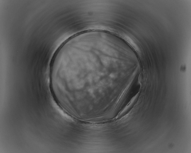 X0000092281084200710121359