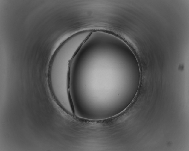 X0000092281085200710121359
