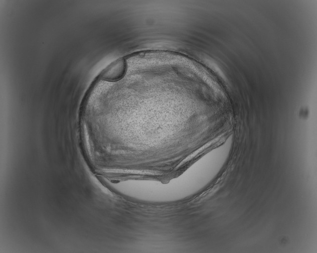 X0000092281087200710121359