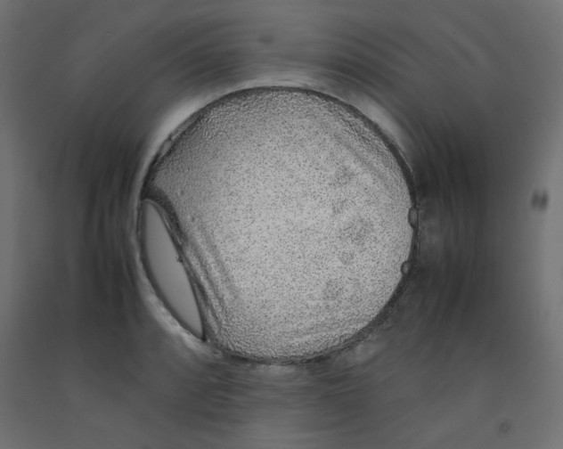 X0000092281088200710121359