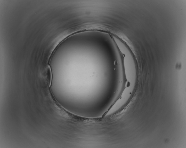 X0000092281089200710121359