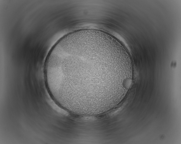 X0000092281090200710121359