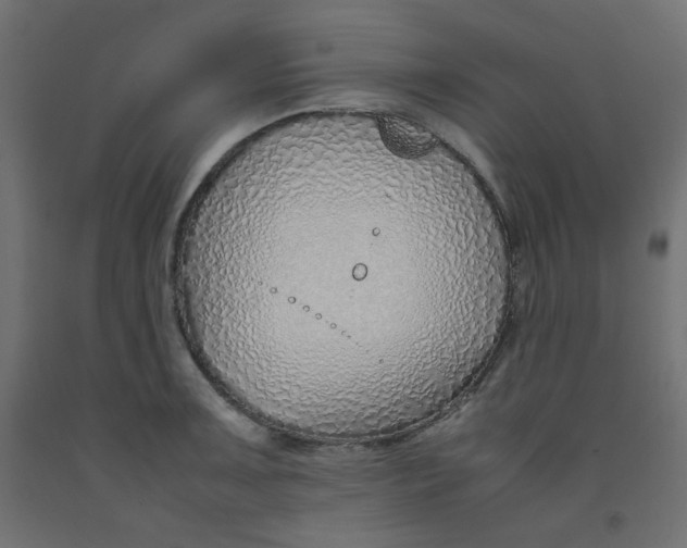 X0000092281091200710121359