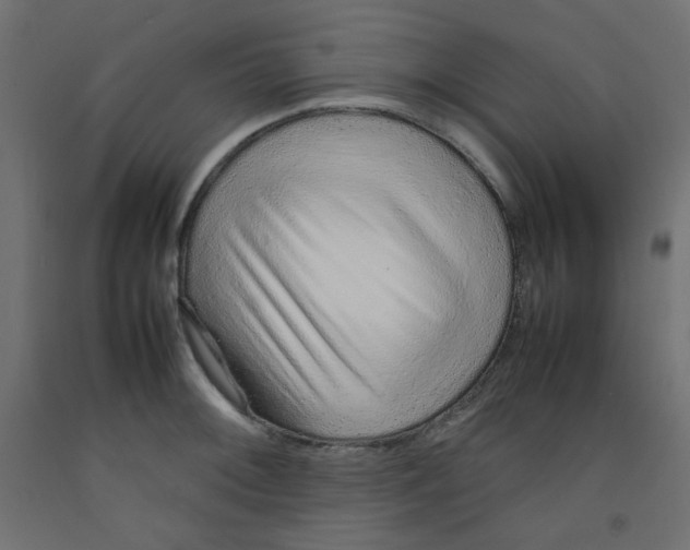X0000092281092200710121359