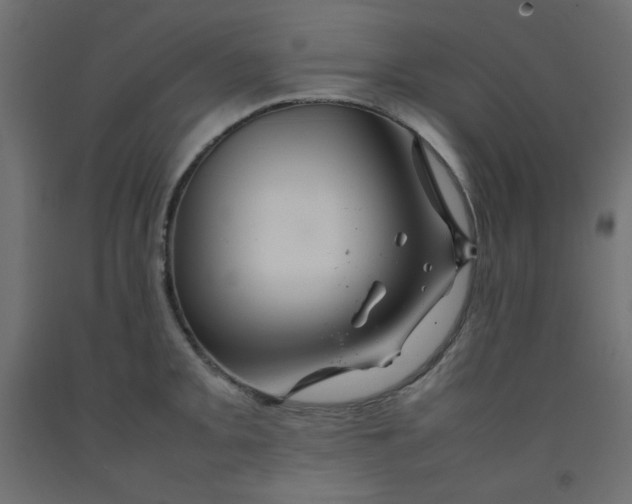 X0000092281093200710121359