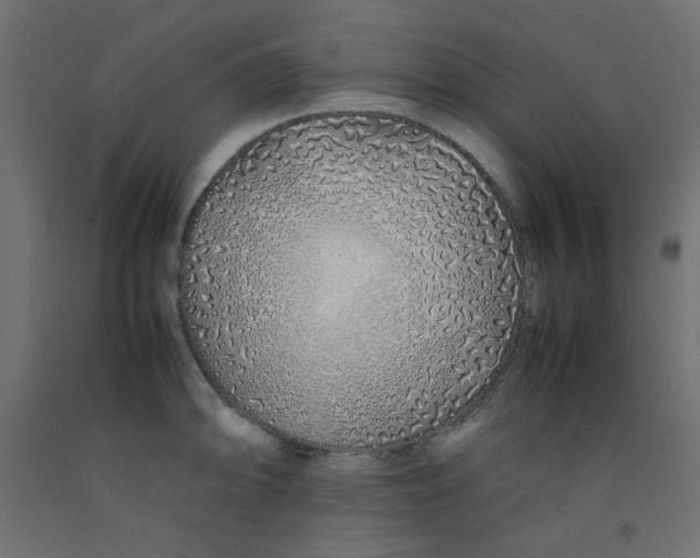 X0000092281094200710121359