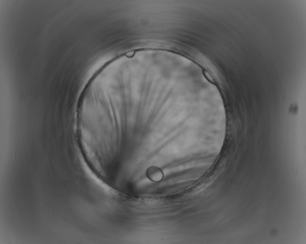 X0000092281095200710121359