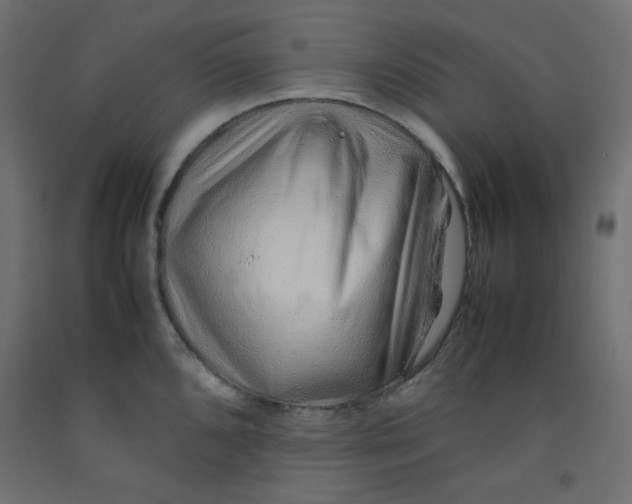 X0000092281096200710121359