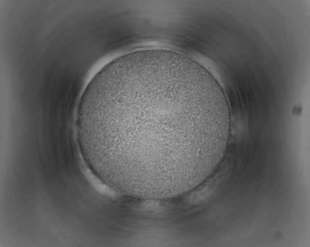 X0000092281098200710121359