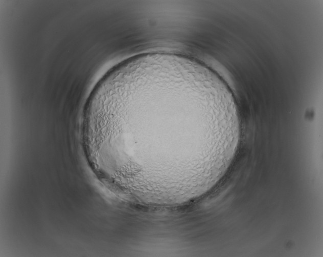 X0000092281099200710121359