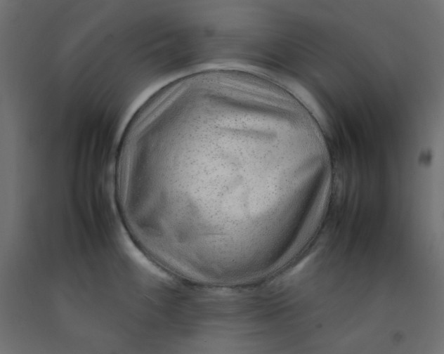X0000092281100200710121359