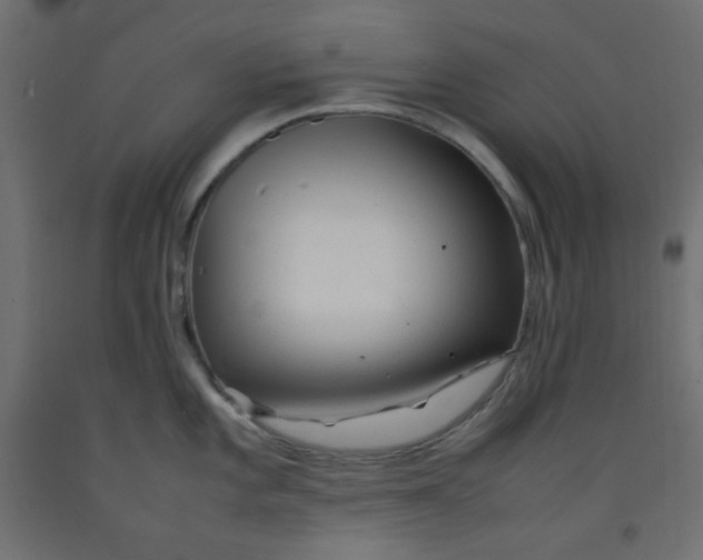 X0000092281101200710121359