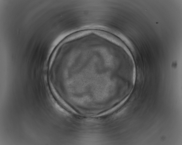 X0000092281102200710121359