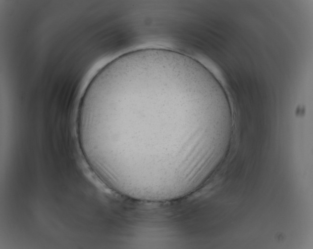 X0000092281104200710121359