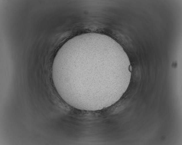 X0000092281105200710121358