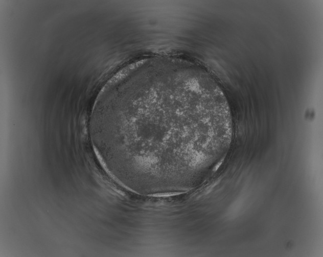 X0000092281106200710121358