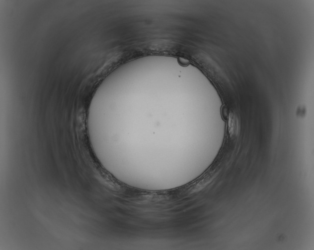 X0000092281107200710121358