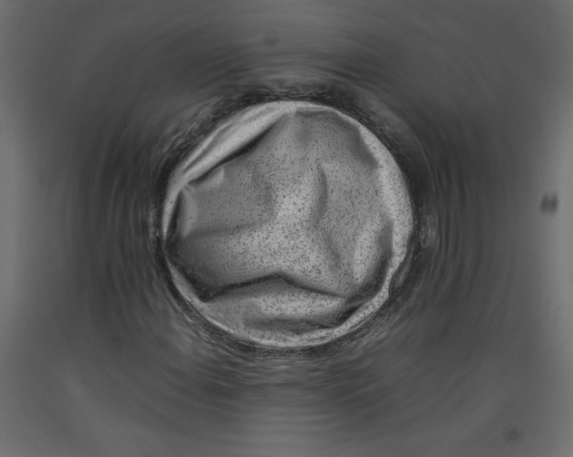 X0000092281108200710121358