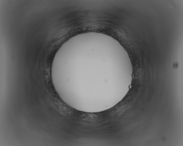 X0000092281109200710121358