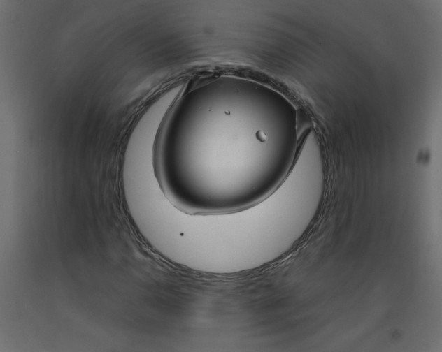 X0000092281110200710121358
