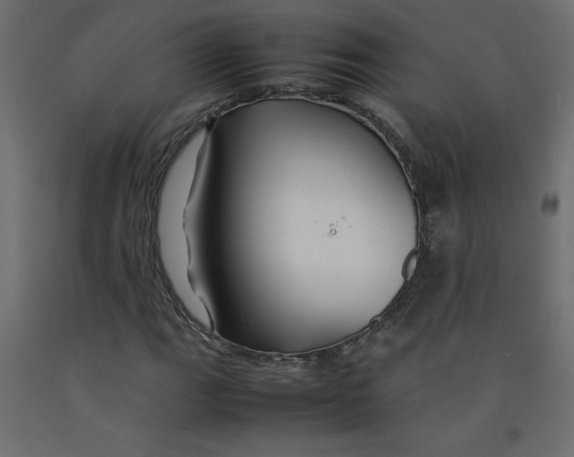 X0000092281111200710121358