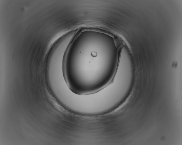 X0000092281114200710121358