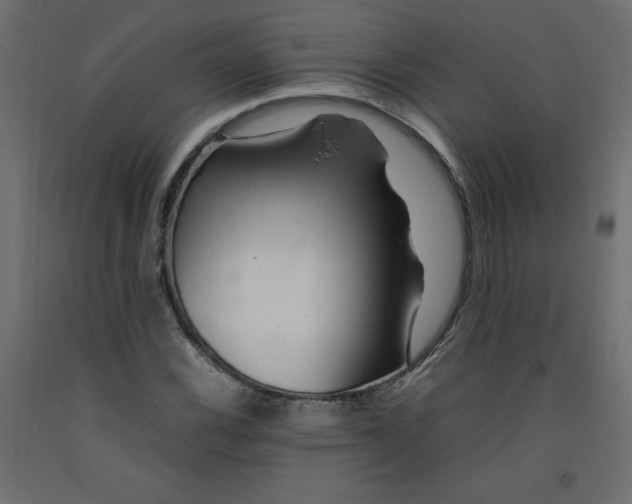 X0000092281116200710121358