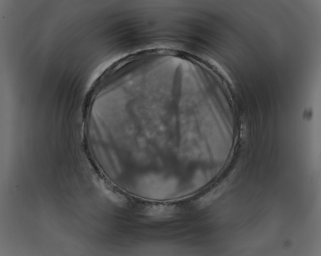X0000092281117200710121358