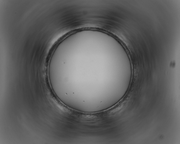 X0000092281119200710121358