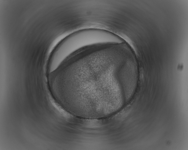 X0000092281120200710121358