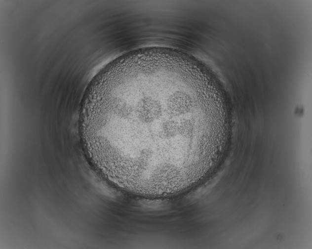 X0000092281121200710121358