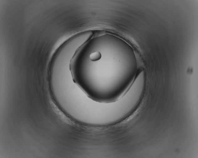 X0000092281122200710121358