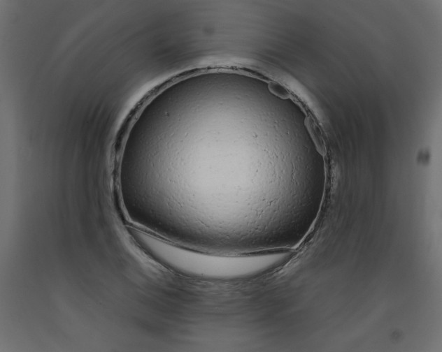 X0000092281124200710121358