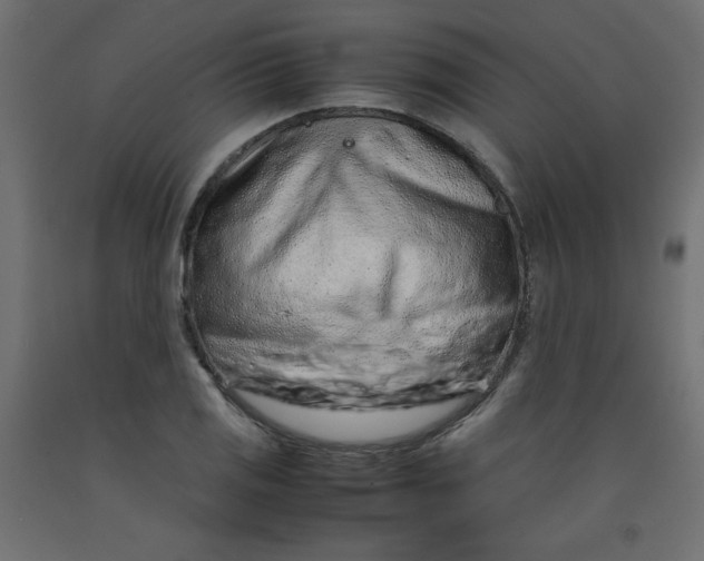 X0000092281125200710121358