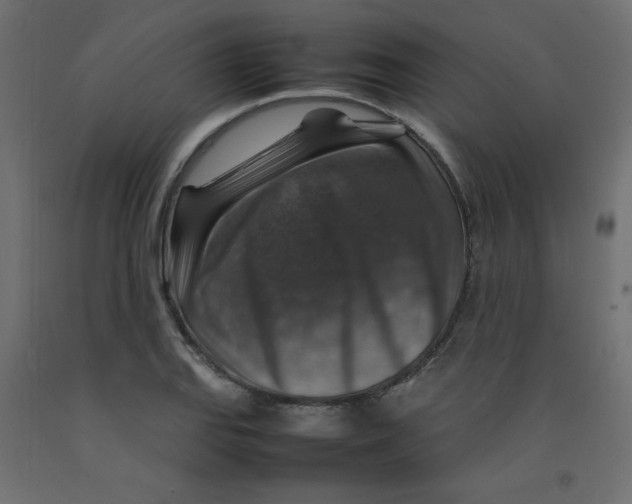 X0000092281127200710121358