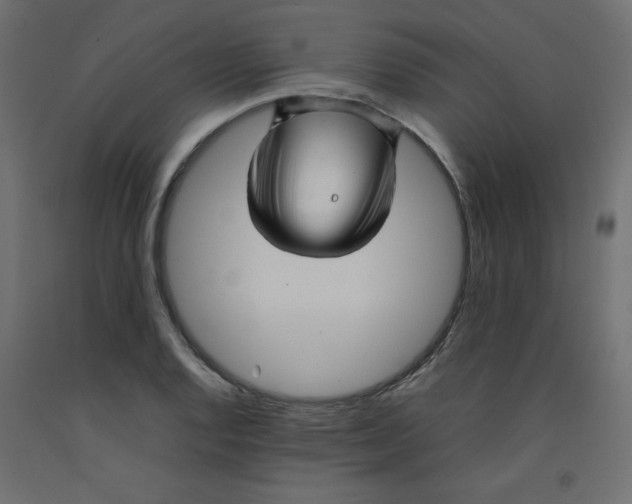X0000092281128200710121358