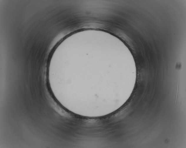 X0000092281130200710121358