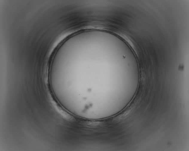 X0000092281131200710121358