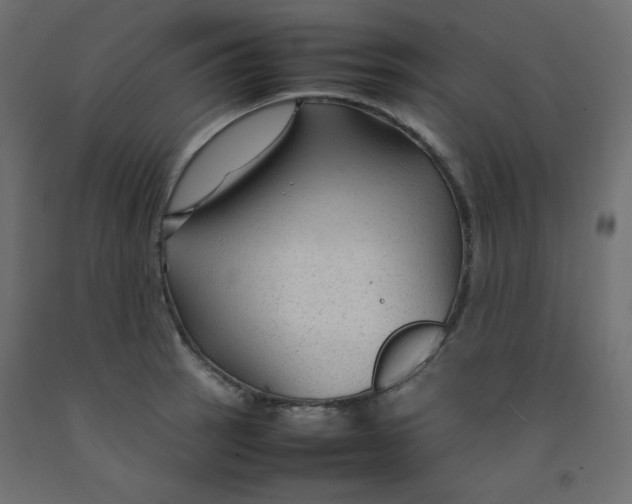 X0000092281137200710121358