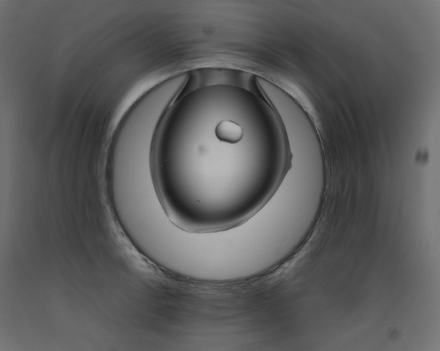 X0000092281138200710121358