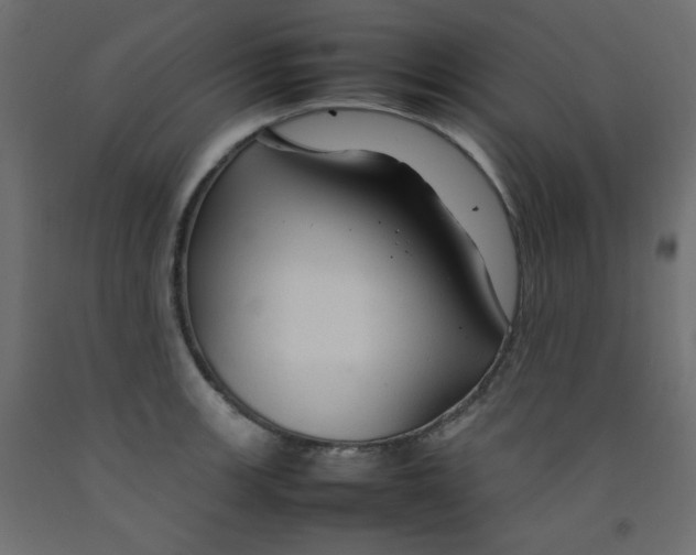 X0000092281139200710121358